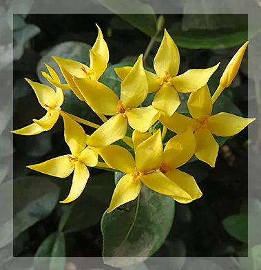 home_yoga_buche_1