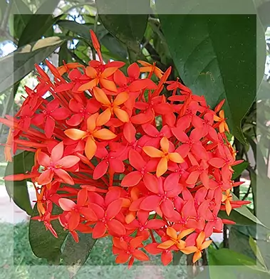 home_yoga_buche_3