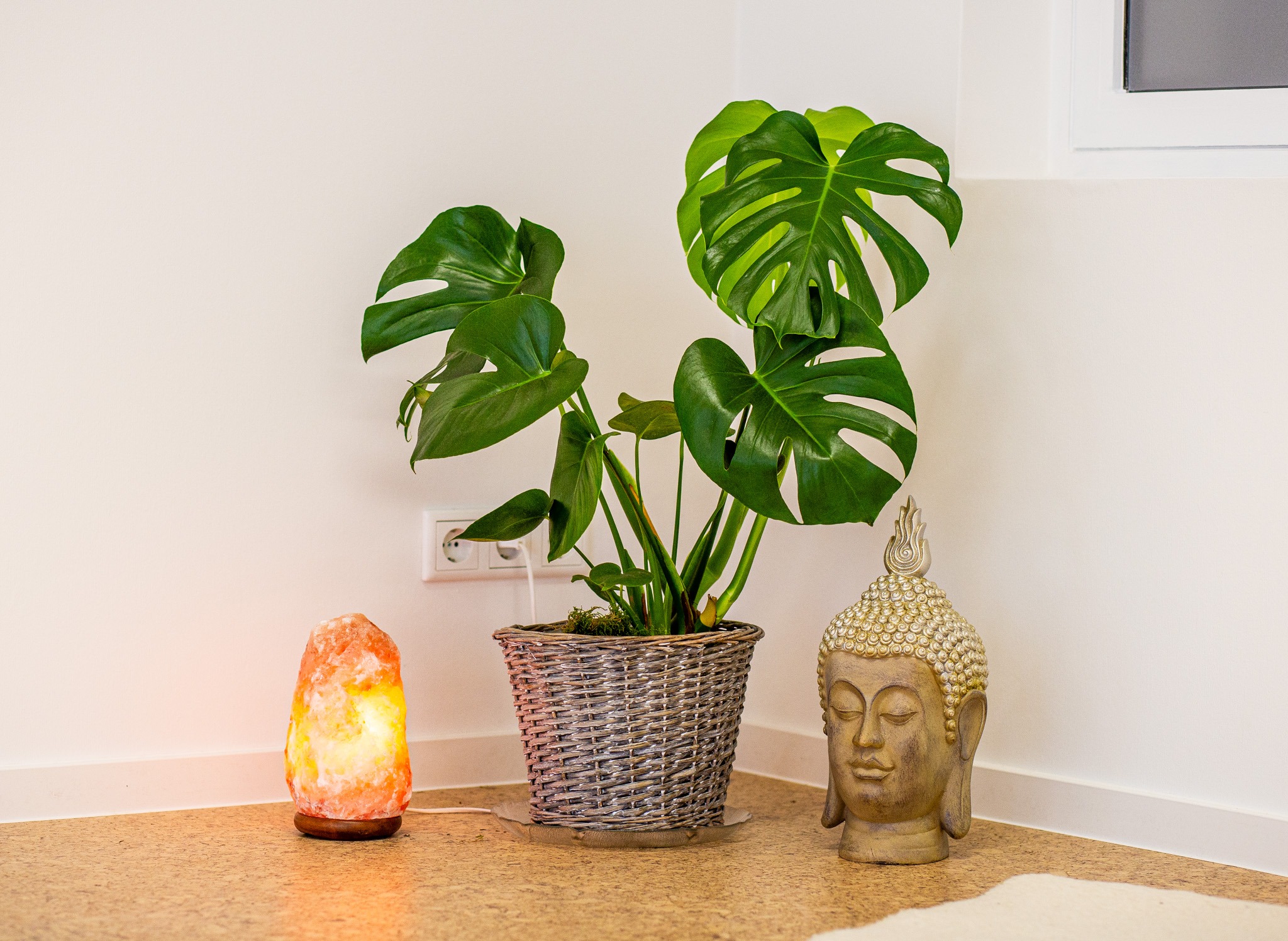Das Bild zeigt einen leuchtenden Salzkristall, eine Pfanze und ein Budda-Kopf